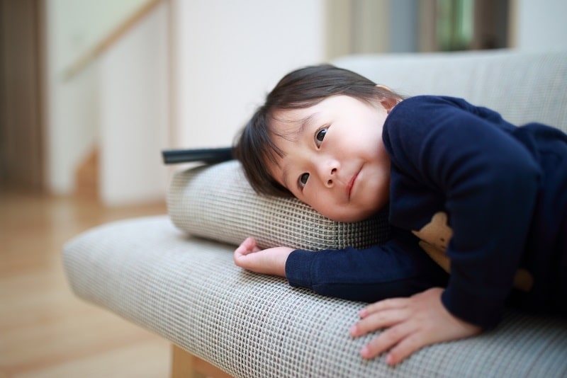 「ひかりTV for docomo」で子どもに良質なアニメはいかが？